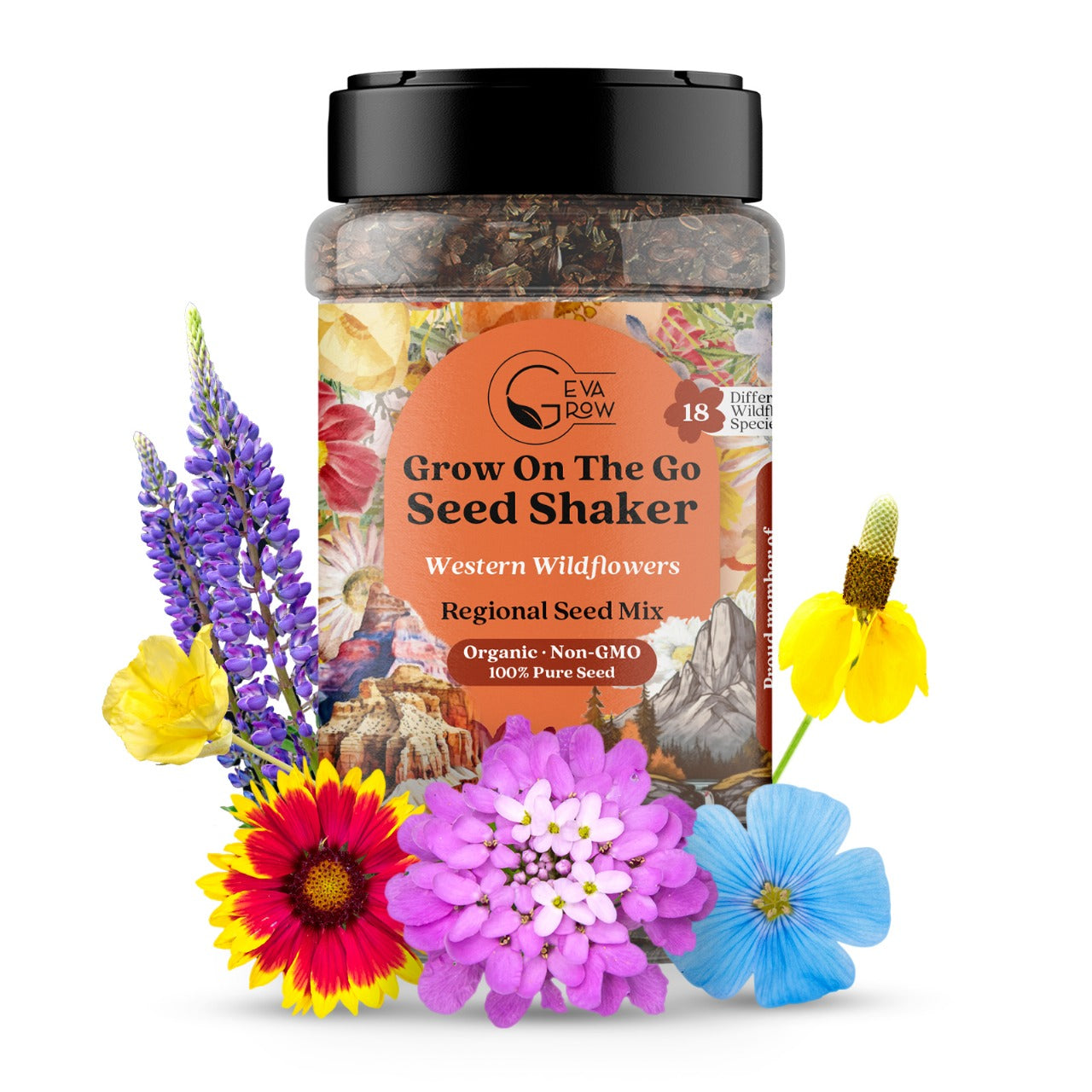 Mini Regional Wildflower Seeds – Western Wildflower Seed