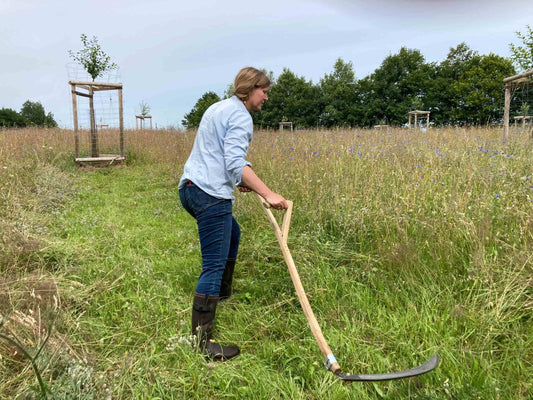 When and How Often Should You Mow Your Wildflower Meadow?