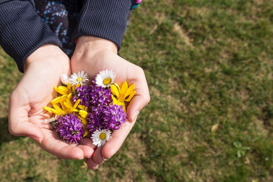 Top Benefits of Planting Wildflowers on Sloped Landscapes