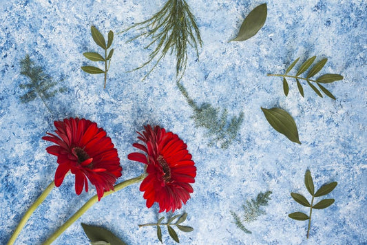 How to Prepare Your Garden for Winter Wildflowers