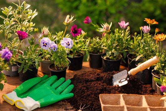 Eco-Friendly Gardening Tips for Designing Low-Maintenance Gardens